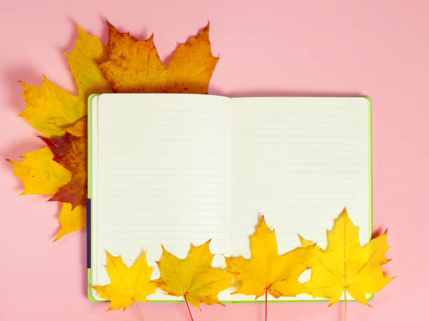 istock Bright autumn maple leaves with blank notebook on pink paper background. Seasonal fall composition, thanksgiving day concept. Creative flatlay, top view, copy space 1281006957