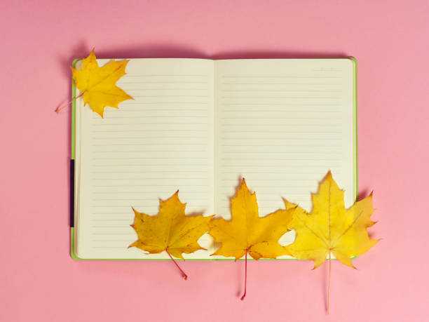 istock Bright autumn maple leaves with blank notebook on pink paper background. Seasonal fall composition, thanksgiving day concept. Creative flatlay, top view, copy space 1281006961