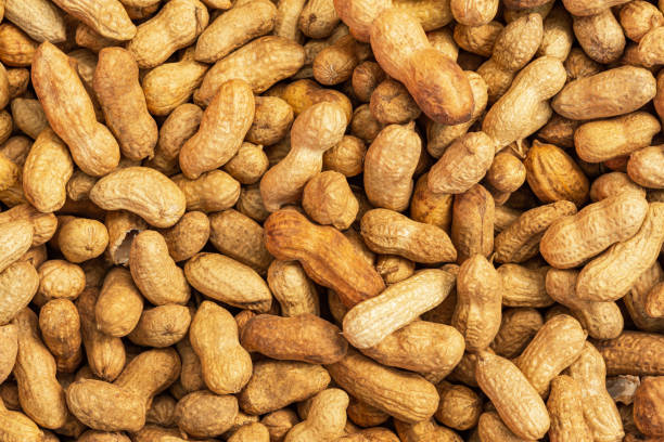 Background of unpeeled peanuts in the shell. Full frame top view of the scattered nuts. stock photo