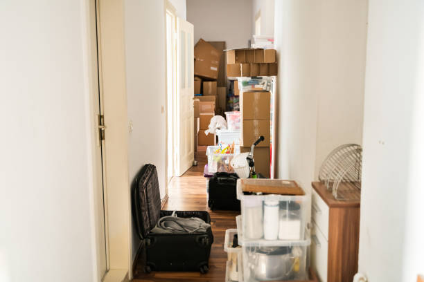 istock Messy Home Room With Junk 1281015047