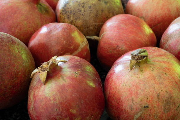 istock Pomegranate natural background with close up on a ripe granates ready for juice press. 1281017822