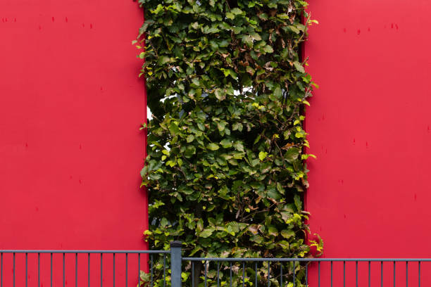 istock Two red concrete elements and a hornbeam hedge in between serves as a demarcation, fence for the property 1281017961