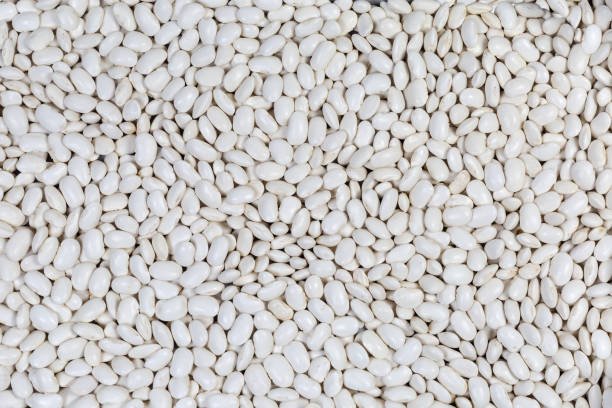 istock Background of the white kidney beans scattered evenly 1281022724