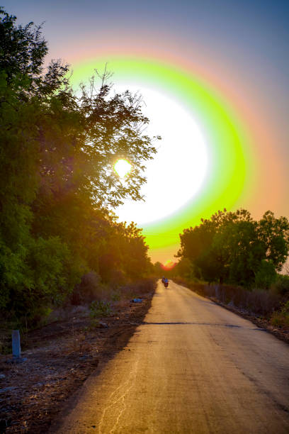 road with trees on both sides and sunset time sky