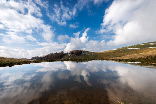 istock Small pond for cows with reflections - Lessinia Plateau Veneto Italy 1281026098