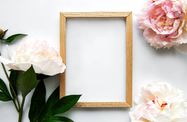 istock Wooden frame surrounded by beautiful pink peonies on a white background 1281028192