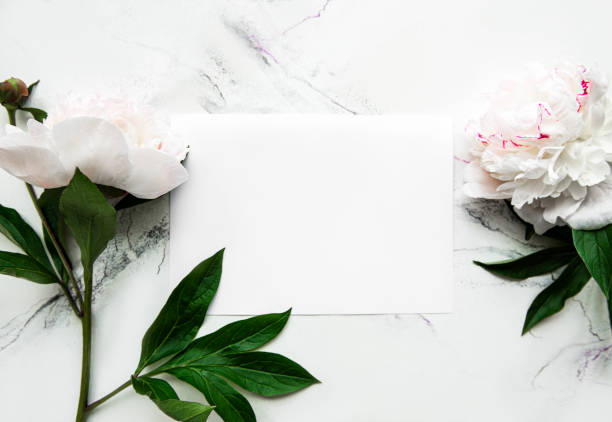 istock Pink peonies with empty card on white  background 1281028195