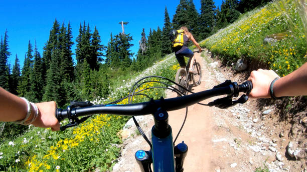 istock Female mountain bikers ride up sunny bicycle trail 1281029846