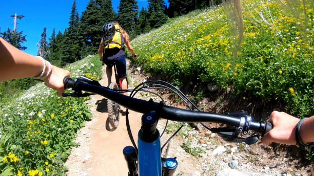 istock Female mountain bikers ride up sunny bicycle trail 1281030028