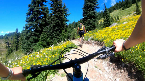 kobiety rowerzystów górskich jeździć na słoneczny szlak rowerowy - personal perspective mountain biking mountain bike cycling zdjęcia i obrazy z banku zdjęć