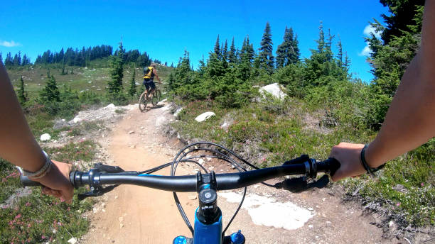 istock Female mountain bikers ride up sunny bicycle trail 1281030396