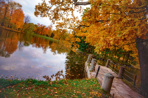 istock Autumn forest lake water landscape. 1281030435