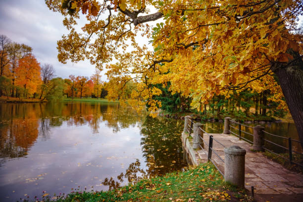 istock Autumn forest lake water landscape. 1281030467