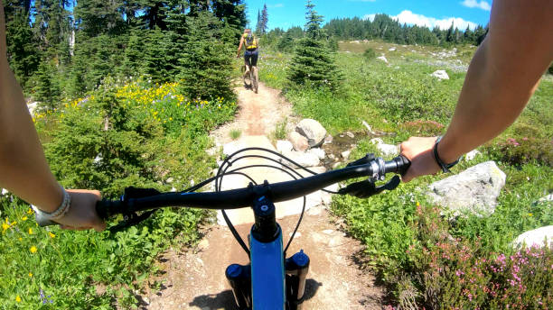 istock Female mountain bikers ride up sunny bicycle trail 1281030529
