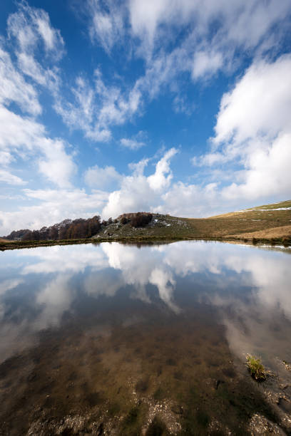 istock Small pond for cows with reflections - Lessinia Plateau Veneto Italy 1281030607