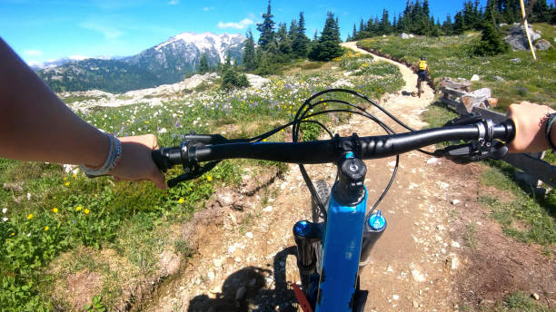 istock Female mountain bikers ride down sunny bicycle trail 1281030834
