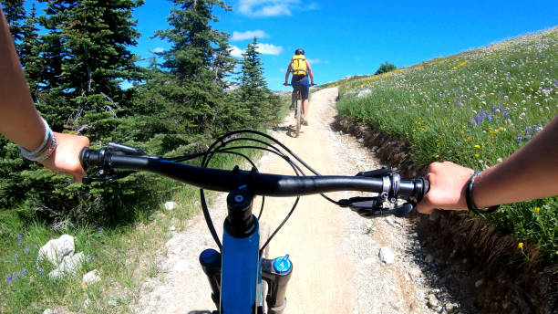 istock Female mountain bikers ride up sunny bicycle trail 1281031630
