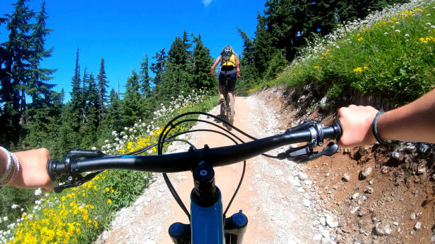 istock Female mountain bikers ride up sunny bicycle trail 1281032408