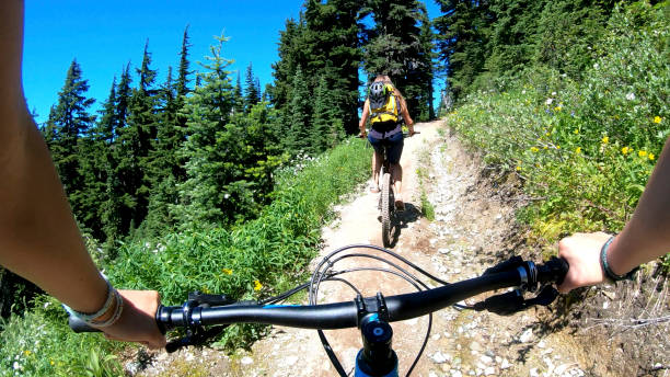 istock Female mountain bikers ride up sunny bicycle trail 1281032596