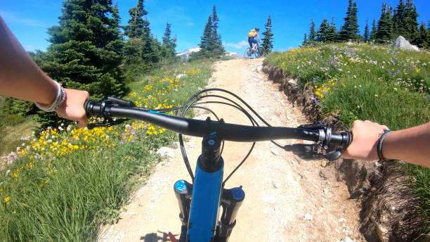 istock Female mountain bikers ride up sunny bicycle trail 1281032604