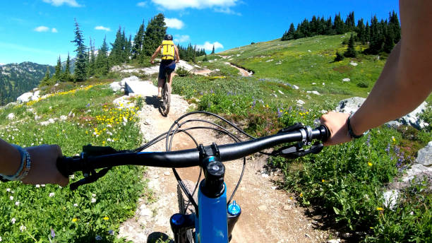 istock Female mountain bikers ride up sunny bicycle trail 1281032640