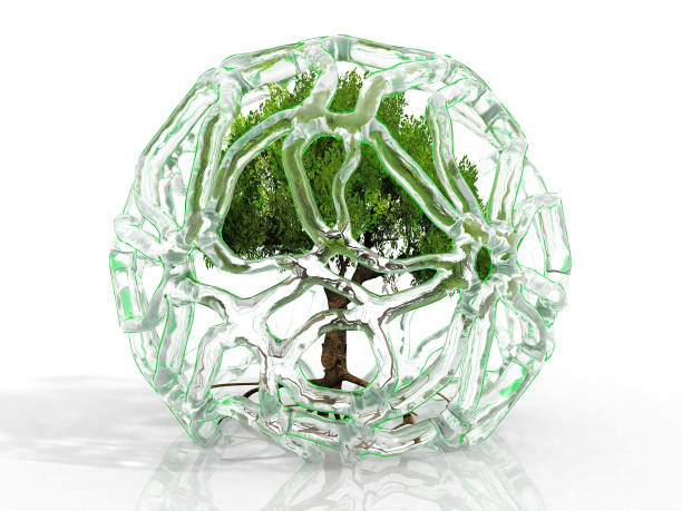 istock the green tree in the ice 1281034914