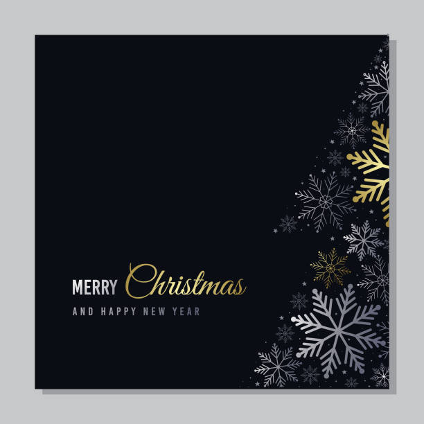 Vector Christmas card with snowflakes. Silver and gold snowflakes on black background Vector Christmas card with snowflakes. Silver and gold snowflakes on black background christmas christmas card christmas decoration decoration stock illustrations