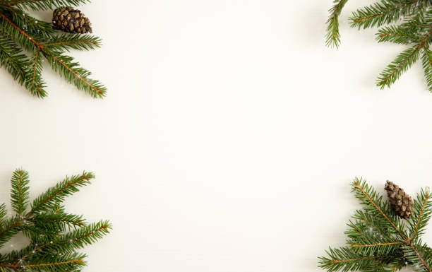 istock fir branches and cones on a white wooden background. Christmas composition. Frame. Place for text 1281041632