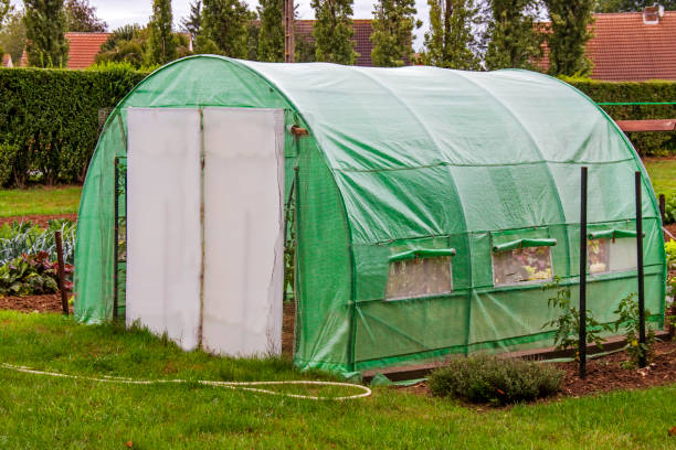 istock Garden greenhouse 1281042638