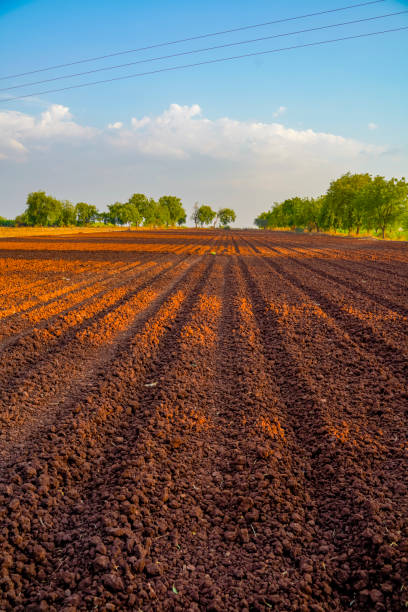 istock landscape of a plowed field ready for sowing 1281042771