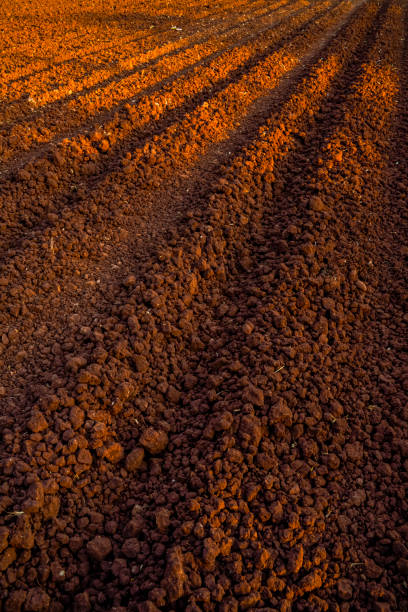 landscape of a plowed field ready for sowing - the natural world plant attribute natural phenomenon mineral imagens e fotografias de stock