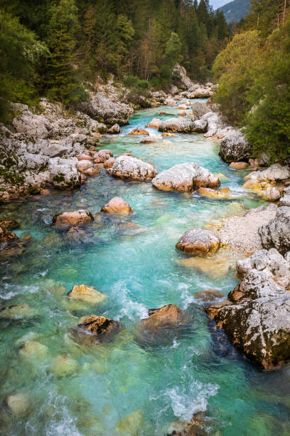 soca river with stony river bank stock photo
