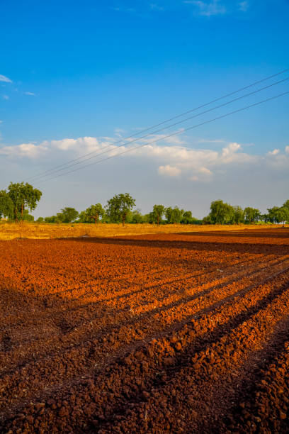 istock landscape of a plowed field ready for sowing 1281044467