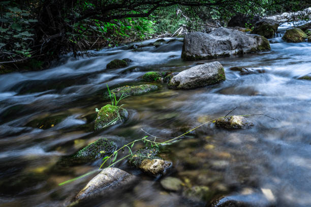istock Fast running mountain river with mossy boulders and rocks at cloudy day on long exposure. 1281044637
