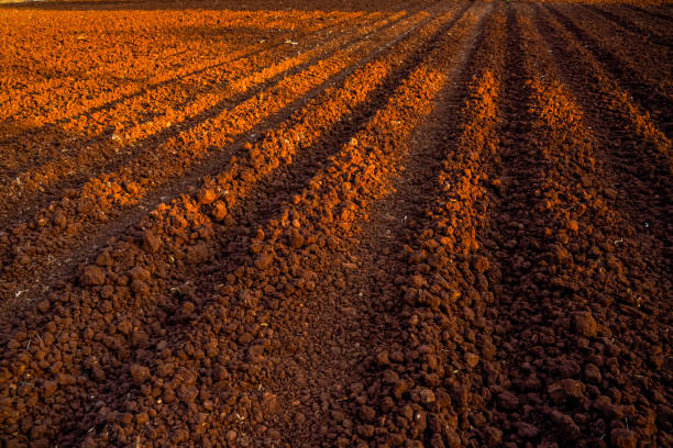 paesaggio di un campo arato pronto per la semina - plowed field dirt sowing field foto e immagini stock