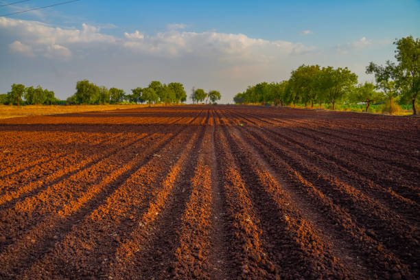 istock landscape of a plowed field ready for sowing 1281046018