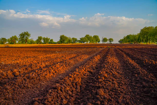 istock landscape of a plowed field ready for sowing 1281046029