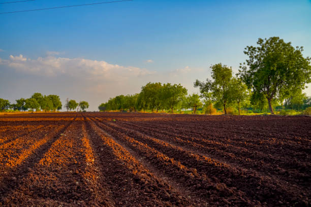 istock landscape of a plowed field ready for sowing 1281047246