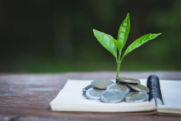 istock Green tree growing on money coins, ,saving, growth, sustainable development, economic concept 1281049271