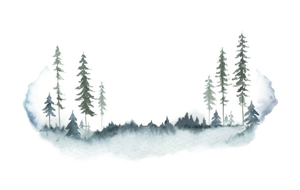 aquarell vektor winterwaldlandschaft mit tannenbäumen. hand bemalte illustration für gruß blumen postkarte und einladungen isoliert auf weißem hintergrund. - winter forest woods wintry landscape stock-grafiken, -clipart, -cartoons und -symbole