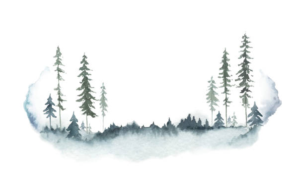 Watercolor vector winter forest landscape with fir trees. Hand painted illustration for greeting floral postcard and invitations isolated on white background. Watercolor vector winter forest landscape with fir trees. Hand painted illustration for greeting floral postcard and invitations isolated on white background. woodland stock illustrations