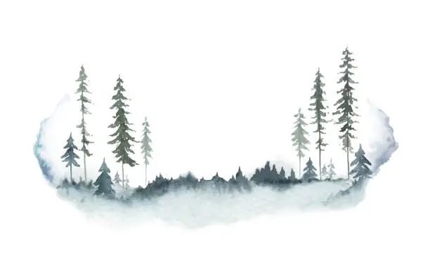 Vector illustration of Watercolor vector winter forest landscape with fir trees. Hand painted illustration for greeting floral postcard and invitations isolated on white background.