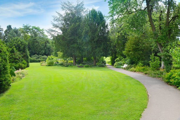 istock Green grass in meadow and footpath 1281057253