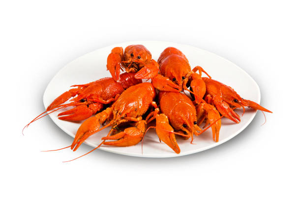 istock Red boiled crayfish on a plate isolated on a white background 1281059132