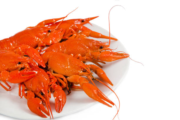 istock Red boiled crayfish on a plate isolated on a white background with copy space. 1281059505
