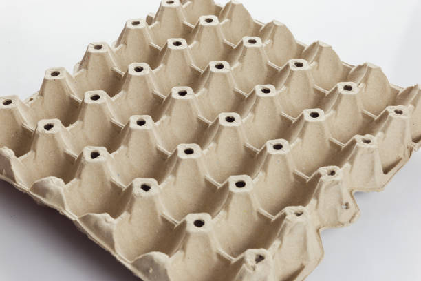 istock Empty cardboard egg tray. Tray for thirty chicken eggs on a white background. 1281064470