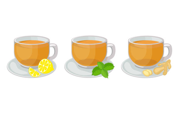 Set of glass cups with saucers with herbal tea inside and lemon slice, mint, ginger vector Set of glass cups with saucers with herbal tea inside and lemon slice, mint, ginger vector illustration isolated on white background. Hot herbal tea vector hot mix plant stock illustrations