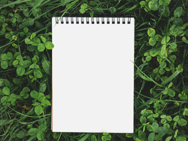 Blank notebook lying on green grass, offering ample copy space for text or design