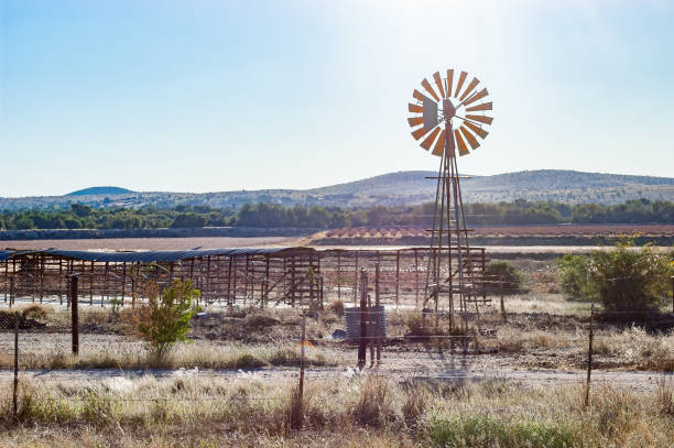 Vineyards, drying racks and a windmill next to the Orange River between Groblershoop and Upington