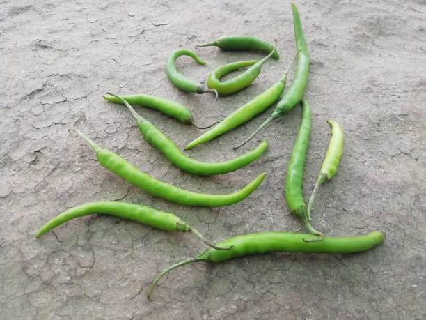 closeup view of chili peppers isolated on a surface